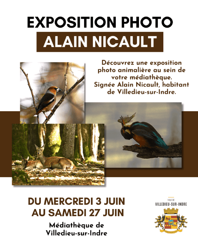 Illustration de l'événement : Exposition photo animalière