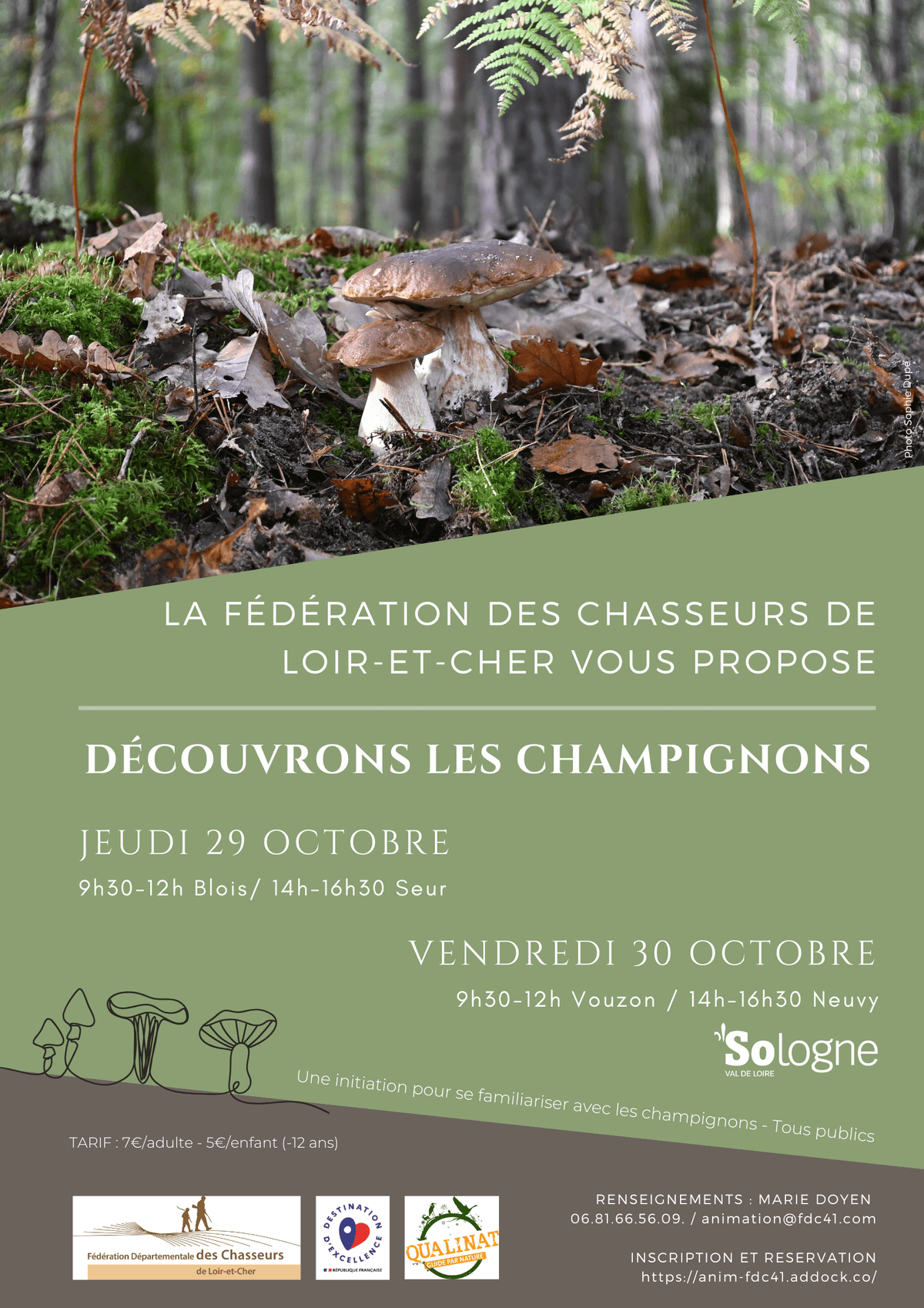 Illustration de l'événement : Instants Nature - Découvrons les champignons à Blois