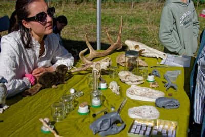Illustration de l'événement : Sur la piste des animaux : empreintes et compagnie