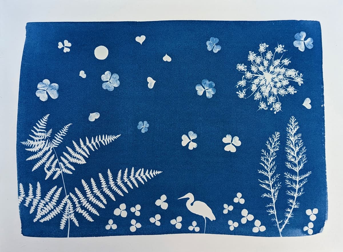 Illustration de l'événement : Initiation au cyanotype : autour du végétal