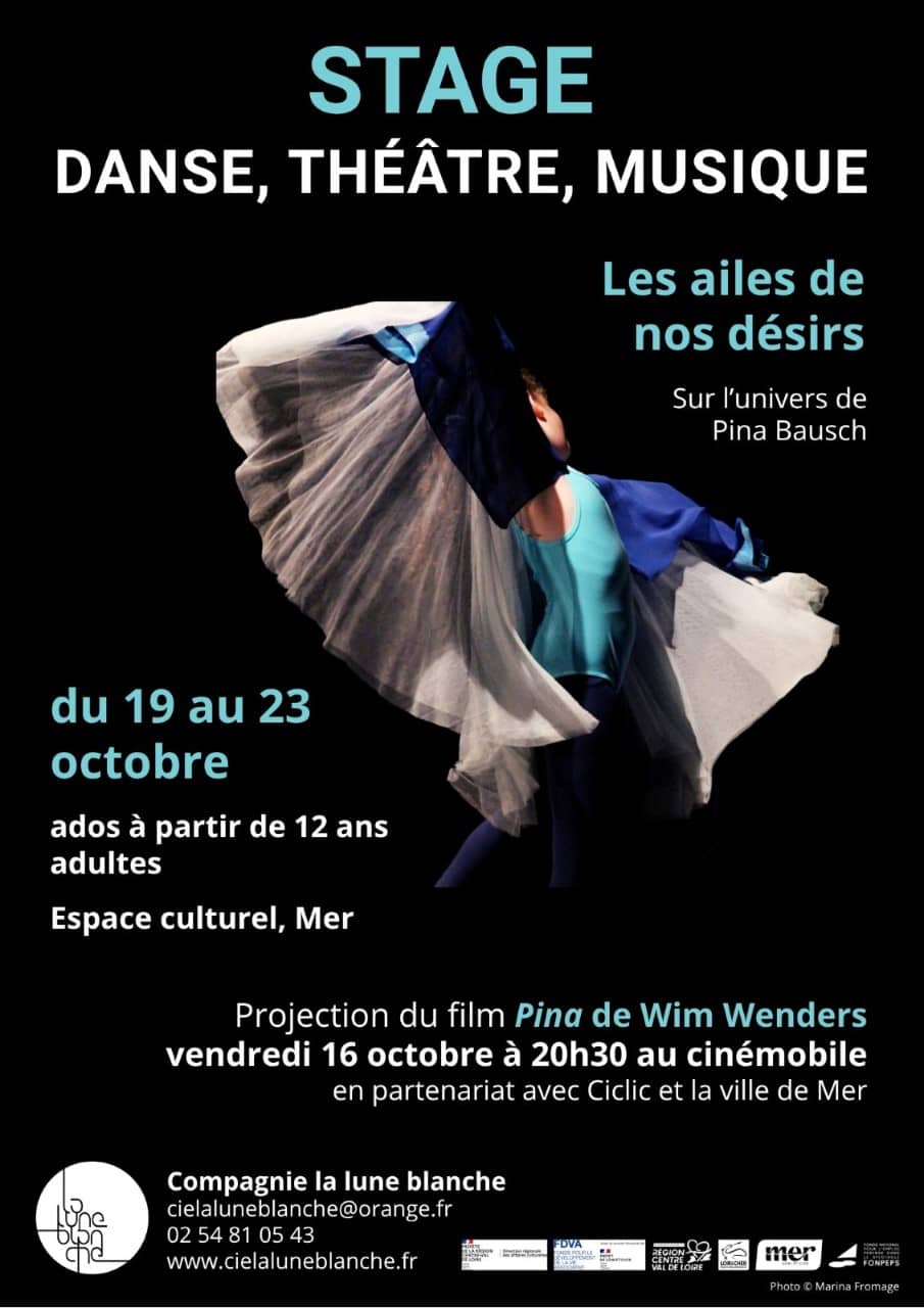 Illustration de l'événement : Stage danse, théâtre, musique