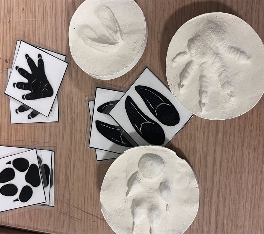 Illustration de l'événement : Atelier Bout d'choux Moulage d'empreinte animale