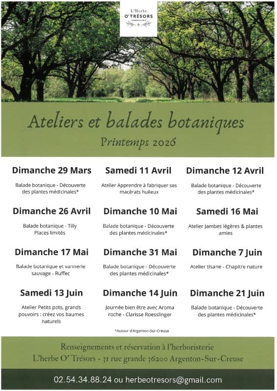 Illustration de l'événement : Ateliers et balades botaniques