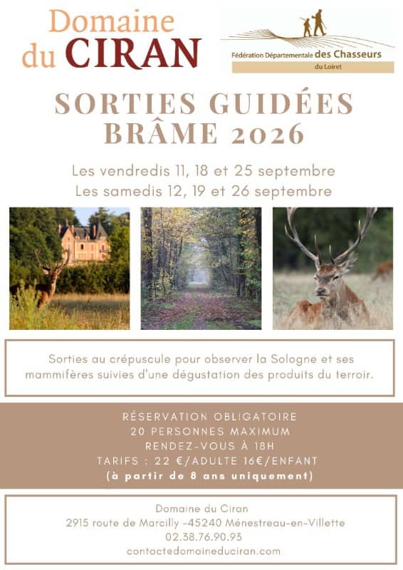 Illustration de l'événement : Sorties brâme 2026
