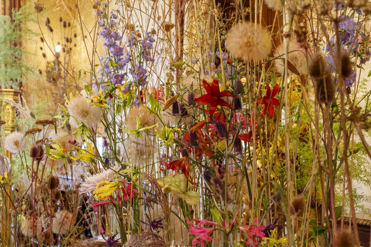 Illustration de l'événement : Quand fleurir est un art au Château de Chaumont-sur-Loire