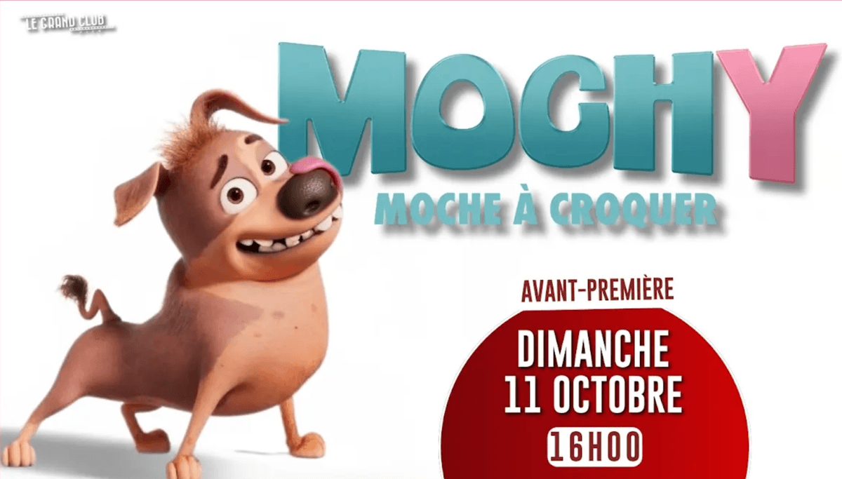 Illustration de l'événement : Mochy