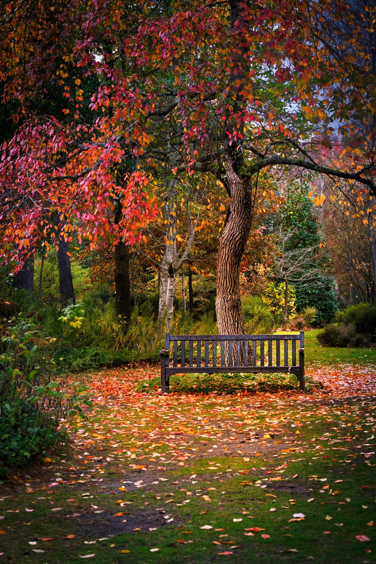 Illustration de l'événement : Concours photos : Automne