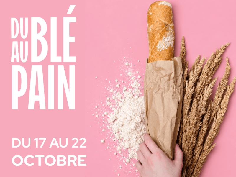 Illustration de l'événement : Evènement : La Beauce - Du blé au pain