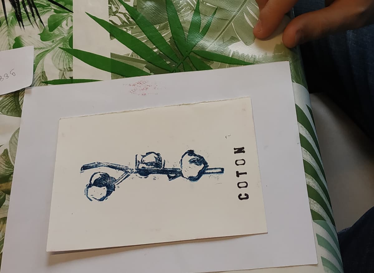 Illustration de l'événement : Mon petit herbier imprimé - AMI