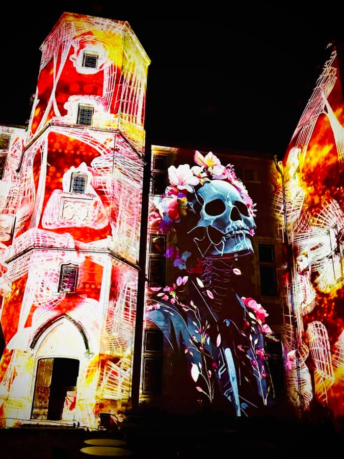 Illustration de l'événement : Halloween au château de Beaugency : Mort & Renaissance