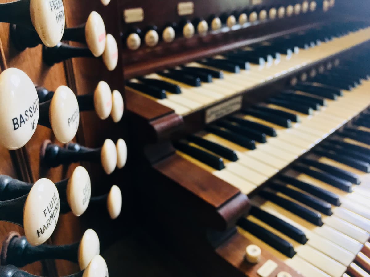 Illustration de l'événement : Visite thématique : L'orgue Skinner