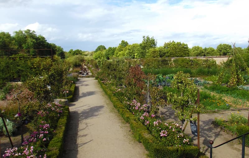 Illustration de l'événement : Les Rendez-vous aux jardins au Château de La Bussière
