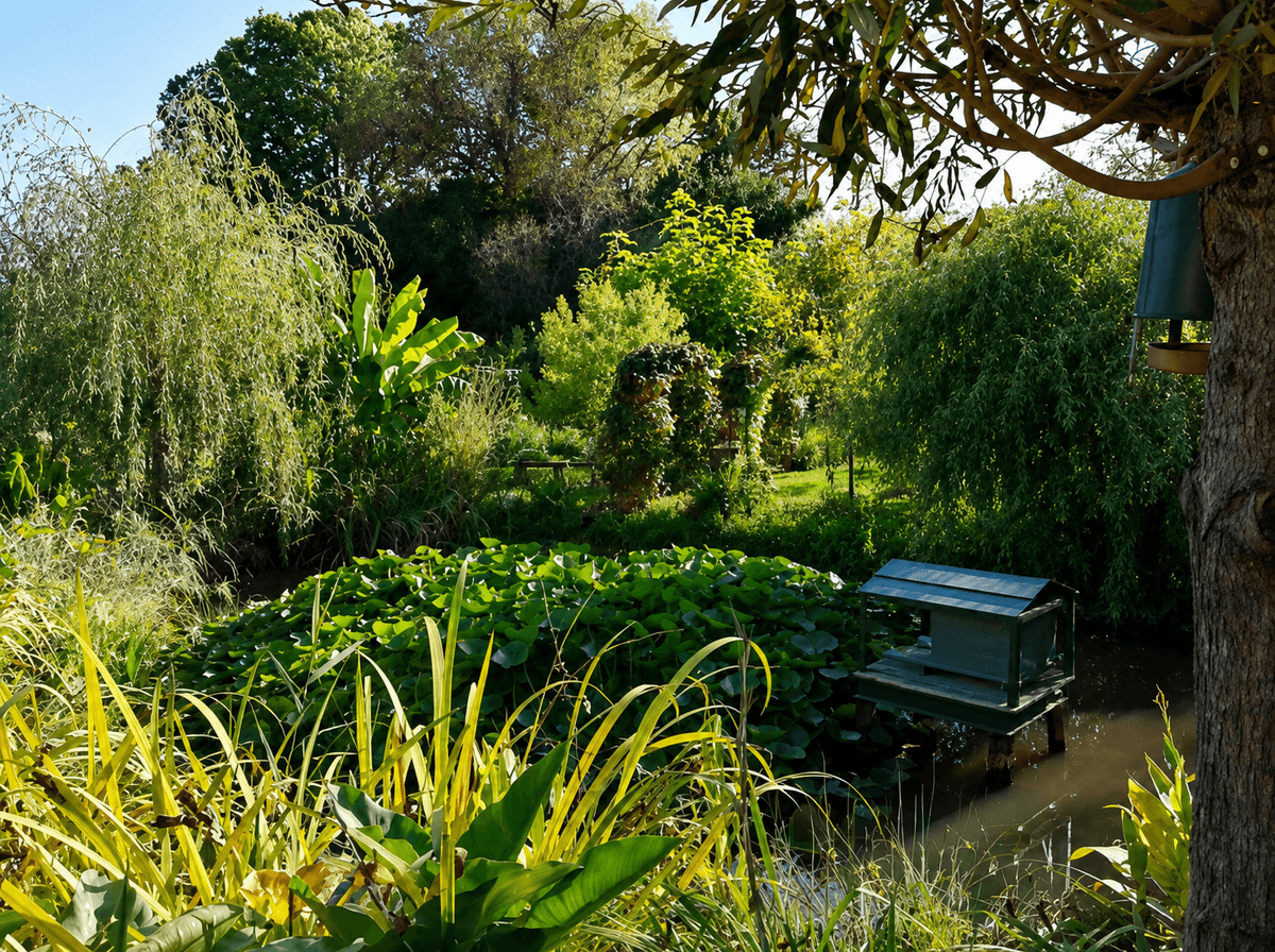 Illustration de l'événement : Bienvenue dans mon Jardin : Le Jardin des Trois Mares