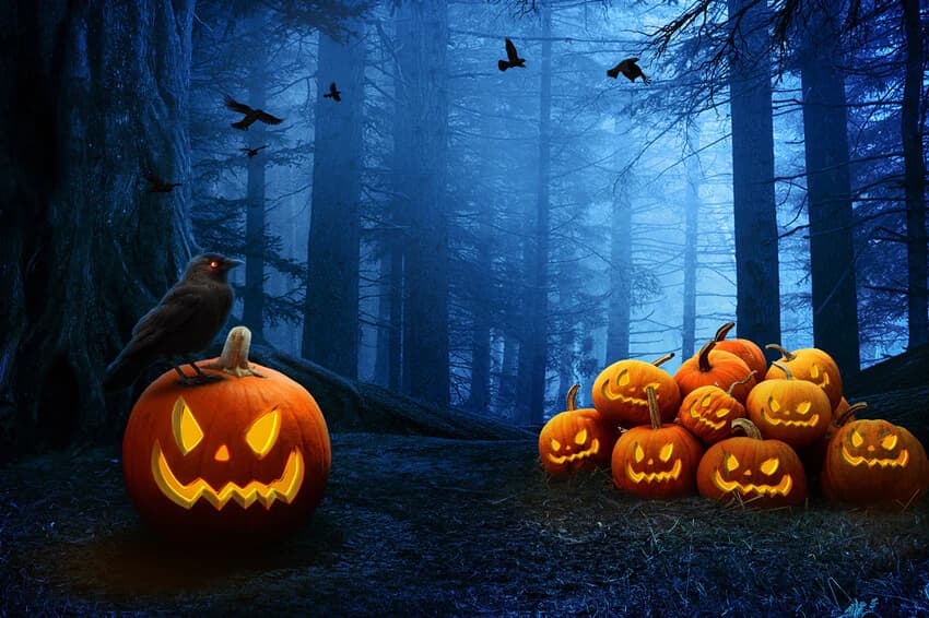 Illustration de l'événement : Halloween à l'Accrobranche - Étang de la Vallée