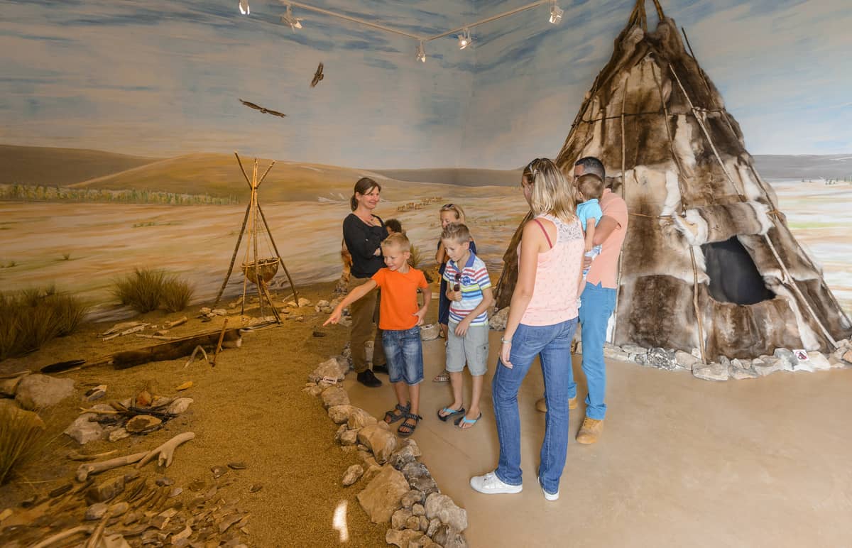 Illustration de l'événement : Visite guidée des collections 100 000 ans de Préhistoire en Touraine