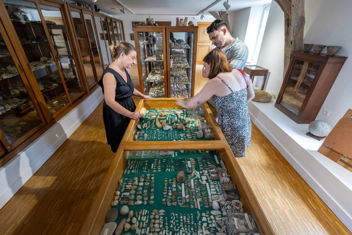 Illustration de l'événement : « Visite de fonds en combles » du musée La Monnaye