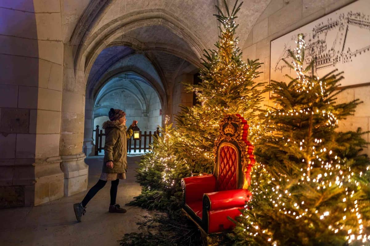 Illustration de l'événement : Noël au Pays des Châteaux : Le Noël royal des animaux !