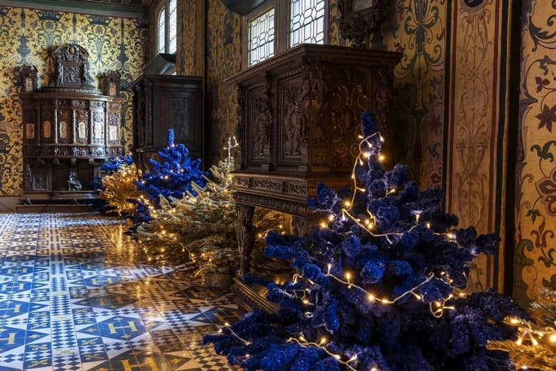 Illustration de l'événement : Fêtes de Noël au Château Royal de Blois