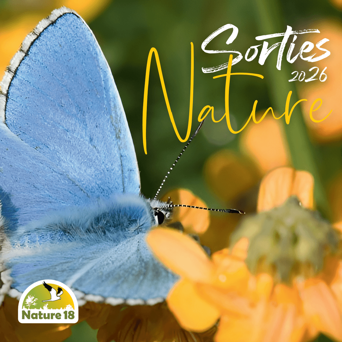 Illustration de l'événement : Sortie Nature : J'agis pour la Nature