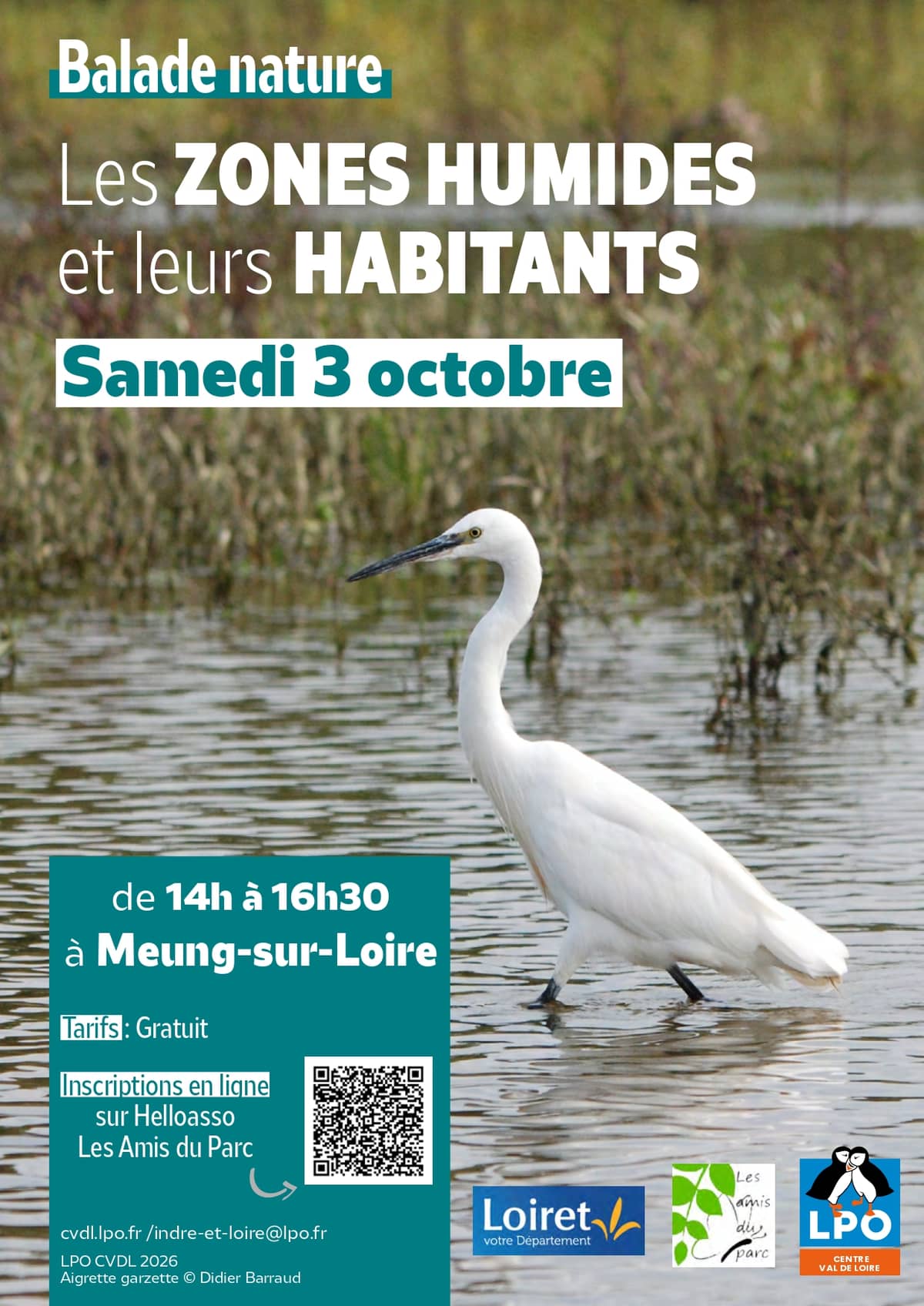 Illustration de l'événement : Balade nature : Les zones humides et leurs habitants