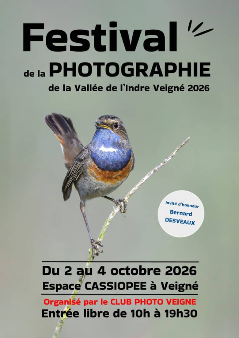 Illustration de l'événement : Festival de la photographie