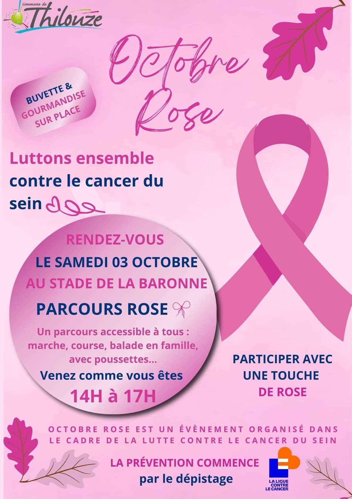 Illustration de l'événement : Parcours Rose à Thilouze