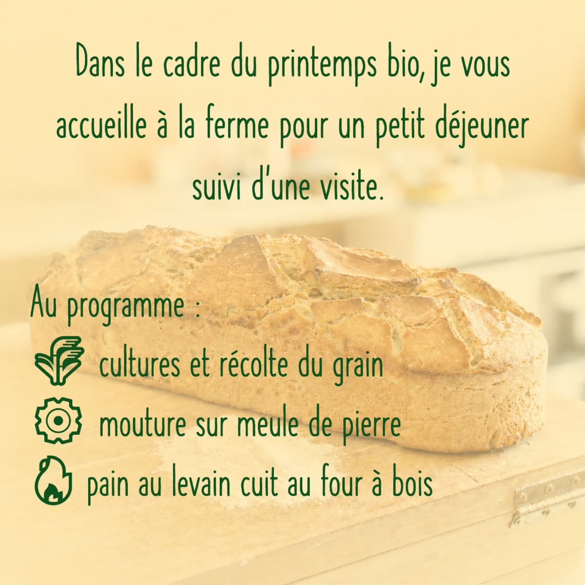 Illustration de l'événement : Petit déjeuner, dégustation et visite de ferme d'un paysan boulanger
