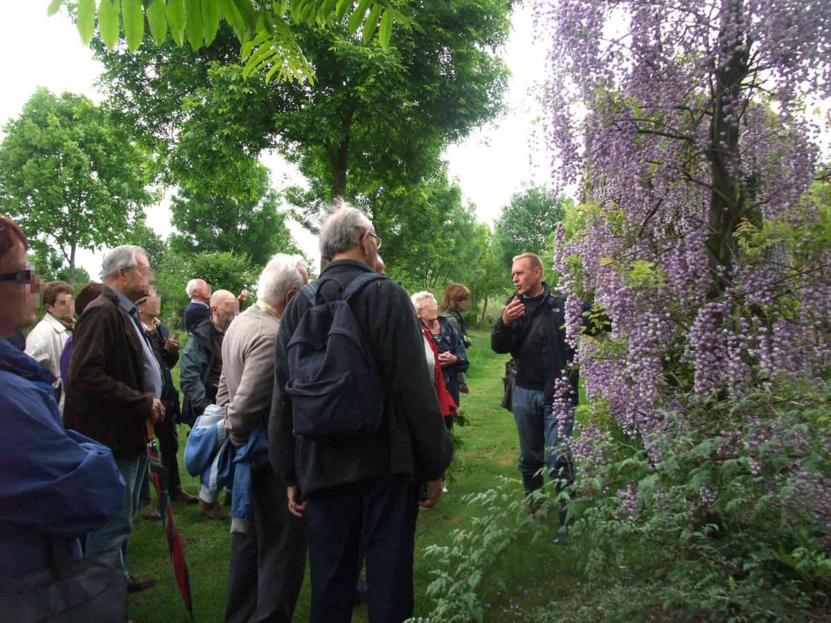 Illustration de l'événement : Visite guidée - Arboretum de la Petite Loiterie