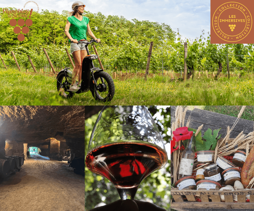 Illustration de l'événement : Vignobles en Scène - Escapade gourmande entre vignes et terroir en trottinette tout-terrain