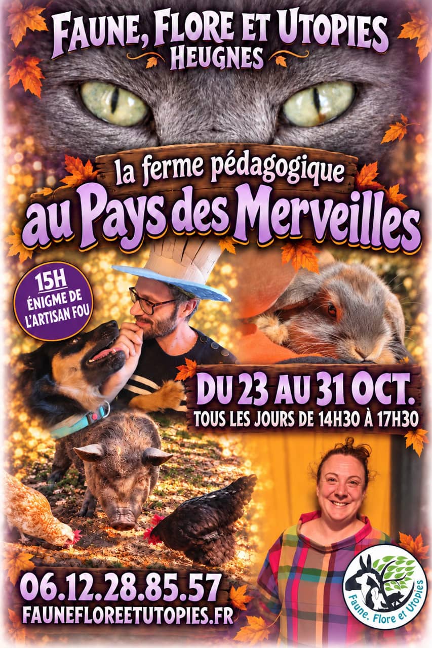Illustration de l'événement : Halloween aux pays des merveilles !