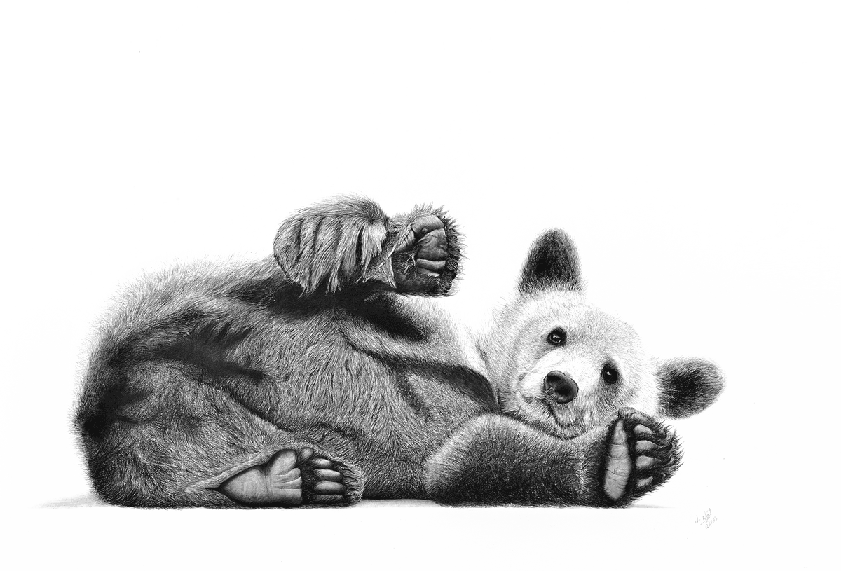 Illustration de l'événement : Expo : Rêverie d'un safari immobile par Natacha Noël
