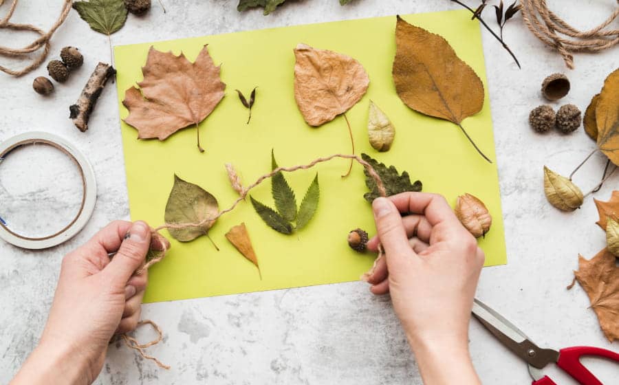 Illustration de l'événement : Petits explorateurs et grands créateurs