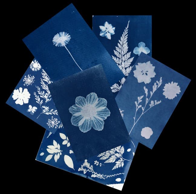 Illustration de l'événement : Samedi créatif "Cyanotype"