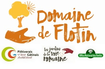 Illustration de l'événement : Festival Jardin d’étoiles