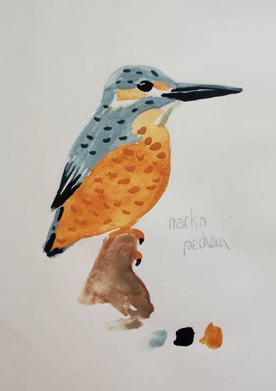 Illustration de l'événement : Exposition Oiseaux en couleur