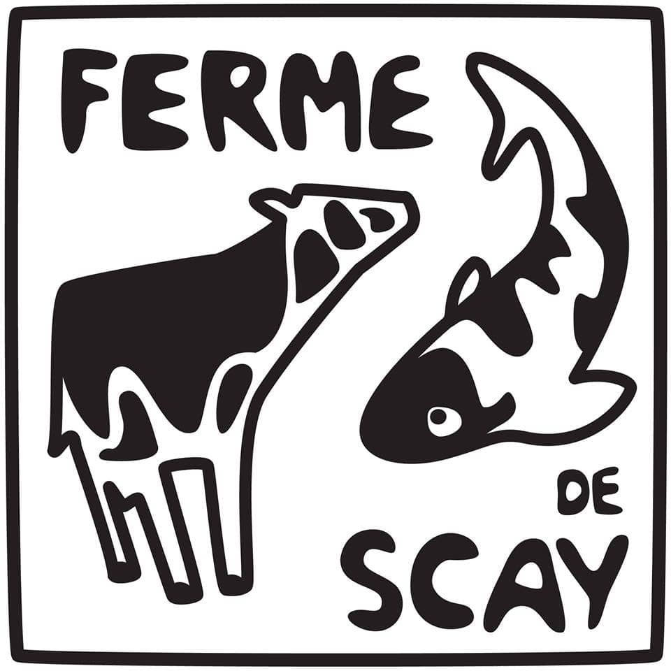 Illustration de l'événement : Vente de viande bovine et viande de veau de lait