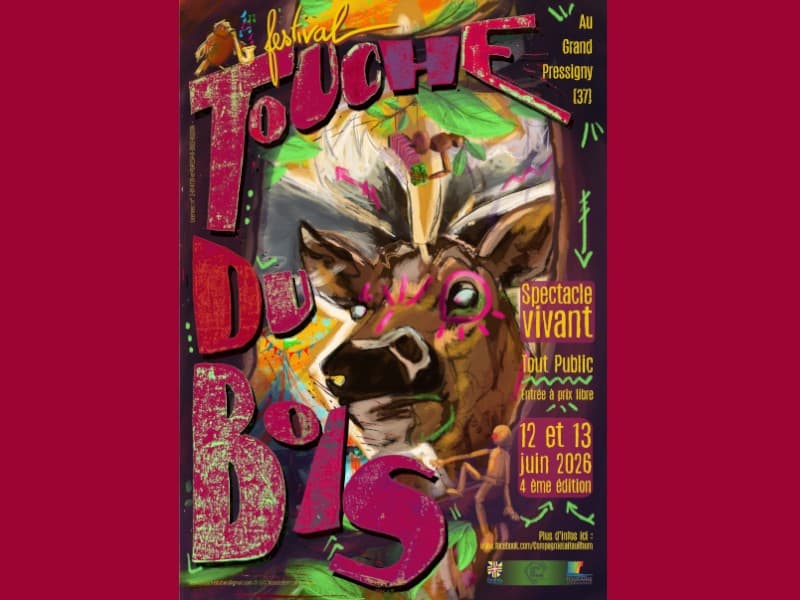 Illustration de l'événement : Festival Touche du Bois