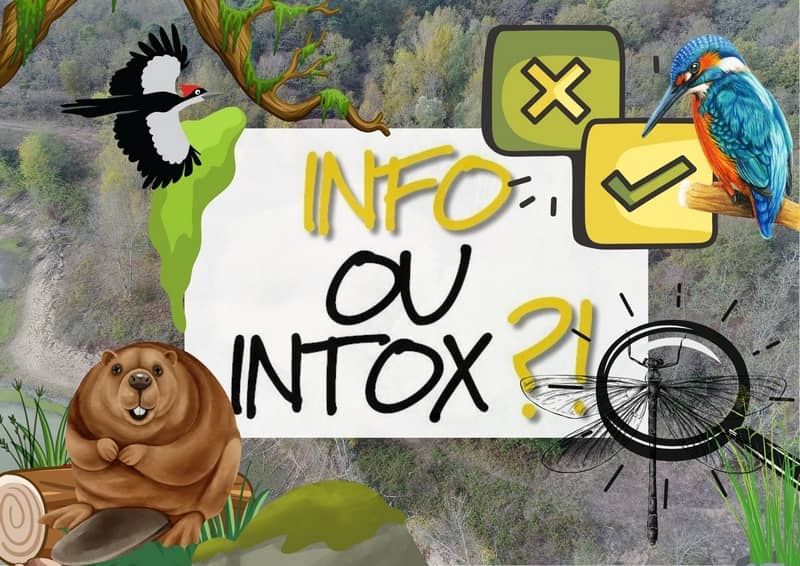 Illustration de l'événement : Balade Loire : Info ou intox de Loire
