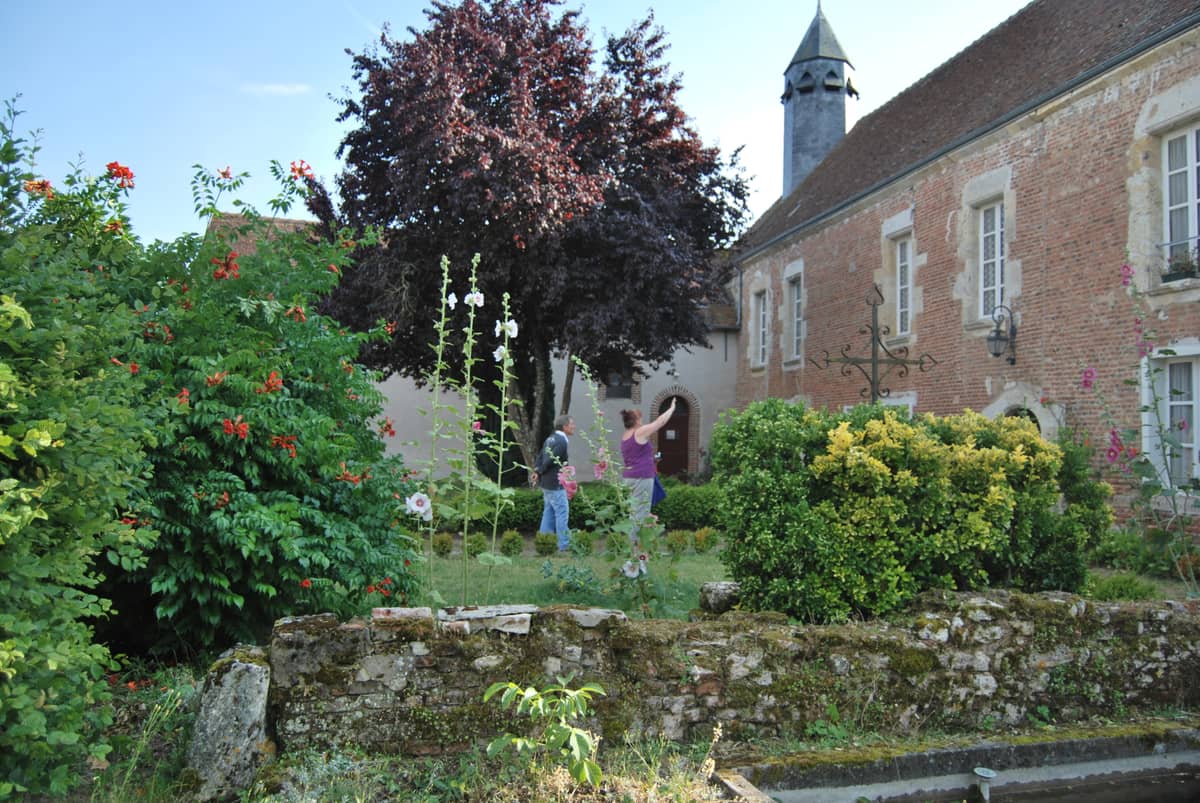Illustration de l'événement : Visite commentée de Boiscommun