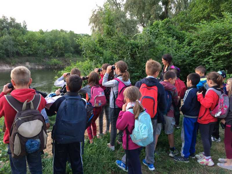 Illustration de l'événement : Camp nature Loire avec la Maison de la Loire