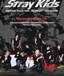 Illustration de l'événement : Concert : Stray Kids World Tour LIVE VIEWING