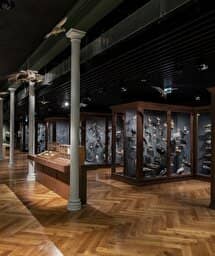 Illustration de l'événement : Entdeckung der Ausstellungen