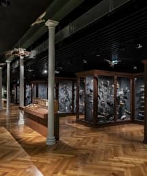Illustration de l'événement : Entdeckung der Ausstellungen