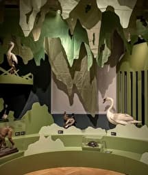 Illustration de l'événement : Découvrir l’exposition "Biodiversité"