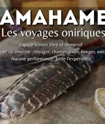 Illustration de l'événement : Amahame : Les Voyages Oniriques