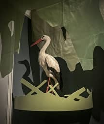 Illustration de l'événement : Découvrir l’exposition "Biodiversité"