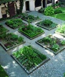 Illustration de l'événement : Entrevoir le jardin !