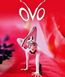 Illustration de l'événement : Cirque du soleil