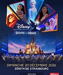 Illustration de l'événement : DISNEY EN CONCERT