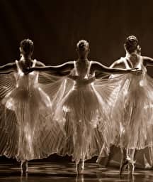 Illustration de l'événement : We call it Ballet